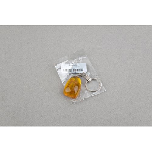 Akrep Fosilli Anahtarl�k -Tip C