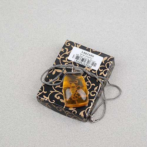 Ger�ek Akrep Fosilli 925 Ayar G�m�� Zincirli Kolye - Tip C