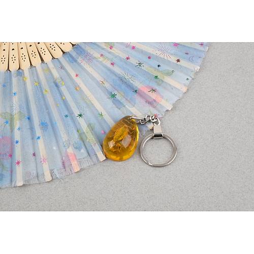 Akrep Fosilli Anahtarl�k -Tip B