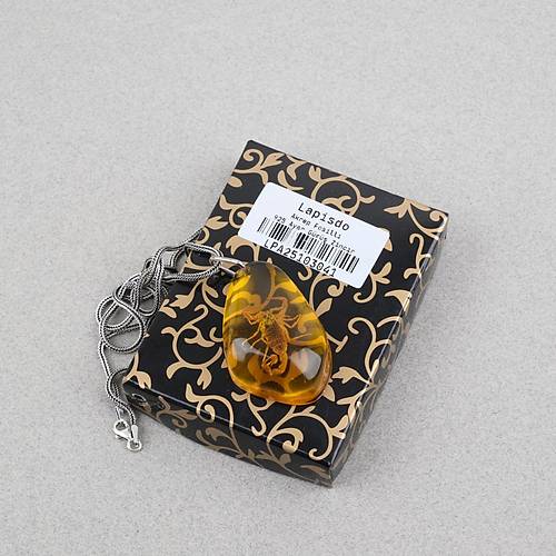 Ger�ek Akrep Fosilli 925 Ayar G�m�� Zincirli Kolye - Tip D