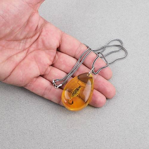 Akrep Fosilli G�m�� Zincirli Kolye