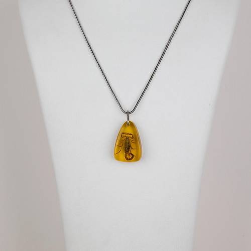 Ger�ek Akrep Fosilli 925 Ayar G�m�� Zincirli Kolye - Tip E