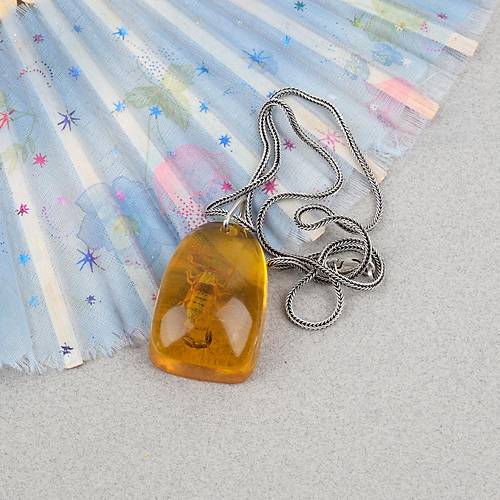 Ger�ek Akrep Fosilli 925 Ayar G�m�� Zincirli Kolye - Tip C