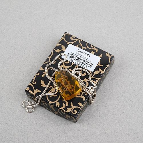 Ger�ek Akrep Fosilli 925 Ayar G�m�� Zincirli Kolye - Tip E