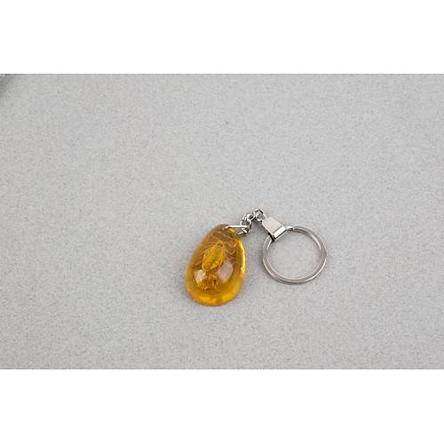 Akrep Fosilli Anahtarl�k -Tip B