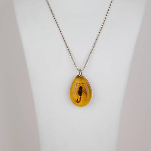 Akrep Fosilli G�m�� Zincirli Kolye