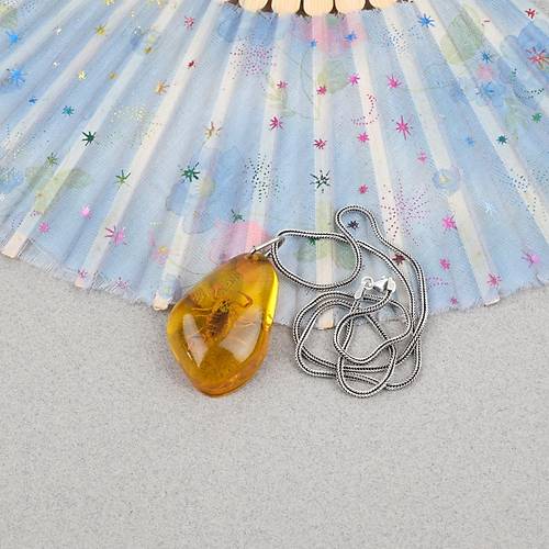 Ger�ek Akrep Fosilli 925 Ayar G�m�� Zincirli Kolye - Tip D