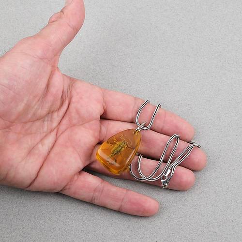 Ger�ek Akrep Fosilli 925 Ayar G�m�� Zincirli Kolye - Tip E