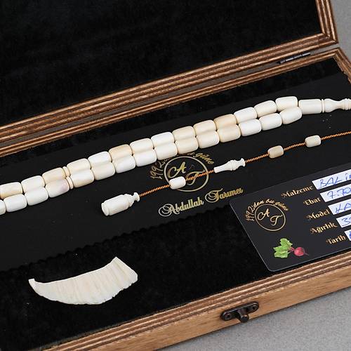 Balina Di�i Usta ��i Kaps�l Kesim 7.7x11.6mm Tesbih