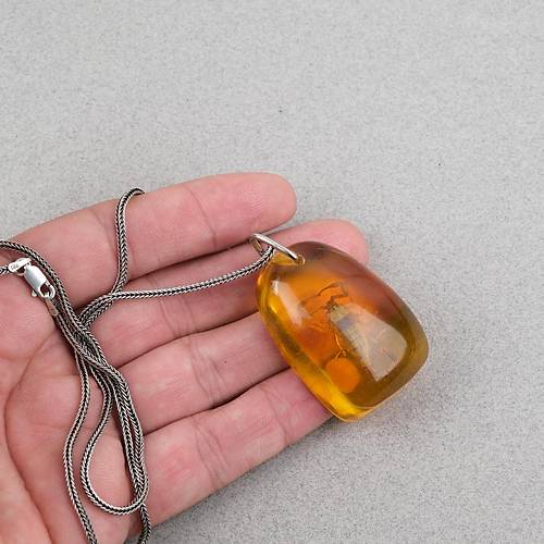 Ger�ek Akrep Fosilli 925 Ayar G�m�� Zincirli Kolye - Tip C