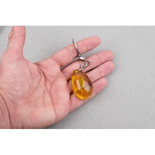 Akrep Fosilli Anahtarl�k -Tip B