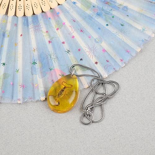 Akrep Fosilli G�m�� Zincirli Kolye