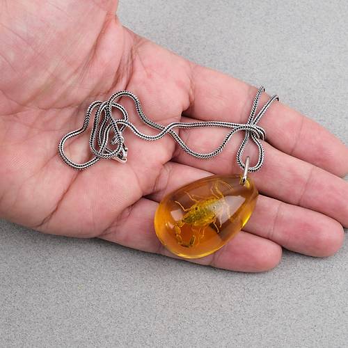 Ger�ek Akrep Fosilli 925 Ayar G�m�� Zincirli Kolye - Tip B