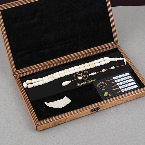 Balina Di�i Usta ��i Kaps�l Kesim 7.7x11.6mm Tesbih