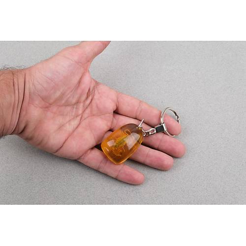 Akrep Fosilli Anahtarl�k -Tip C