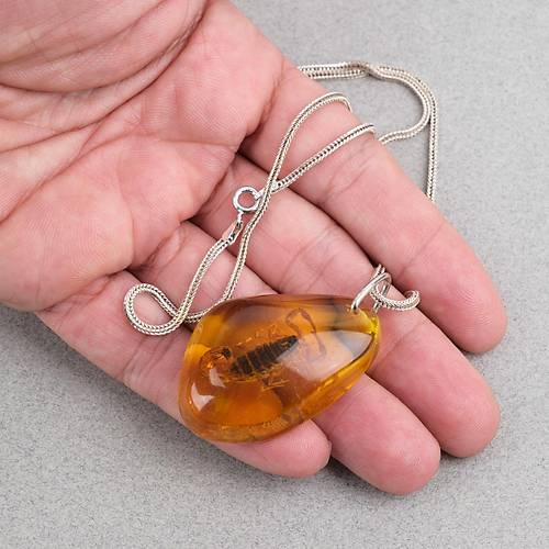 Ger�ek Akrep Fosilli 925 Ayar G�m�� Zincirli Kolye - Tip D