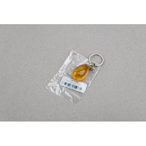 Akrep Fosilli Anahtarl�k -Tip B