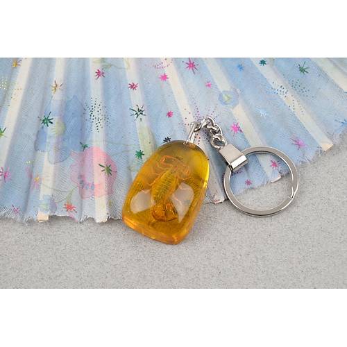 Akrep Fosilli Anahtarl�k -Tip C