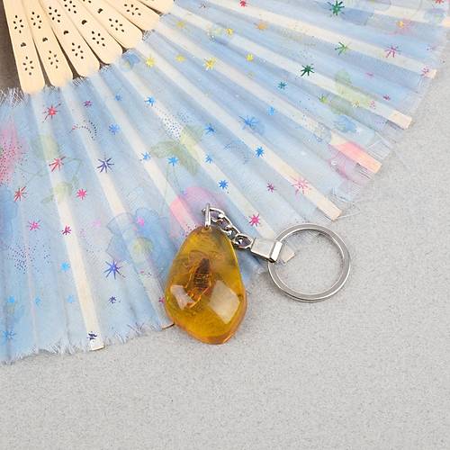 Akrep Fosilli Anahtarl�k -Tip D