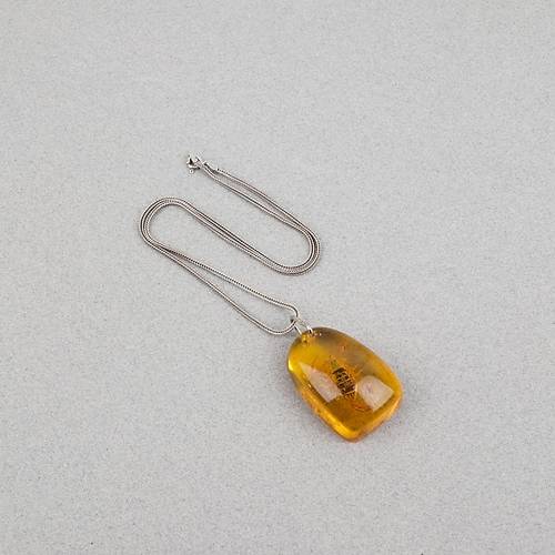 Ger�ek Akrep Fosilli 925 Ayar G�m�� Zincirli Kolye - Tip C