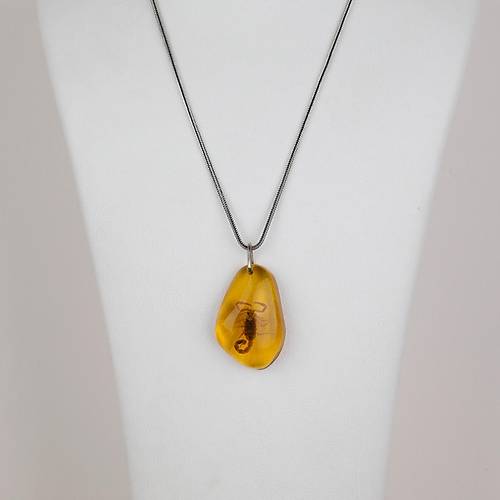 Ger�ek Akrep Fosilli 925 Ayar G�m�� Zincirli Kolye - Tip D