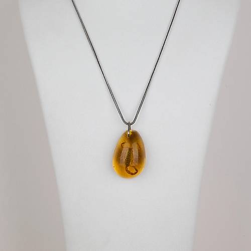 Ger�ek Akrep Fosilli 925 Ayar G�m�� Zincirli Kolye - Tip B