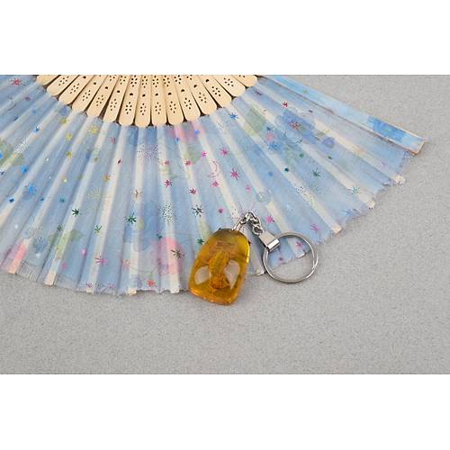 Akrep Fosilli Anahtarl�k -Tip C