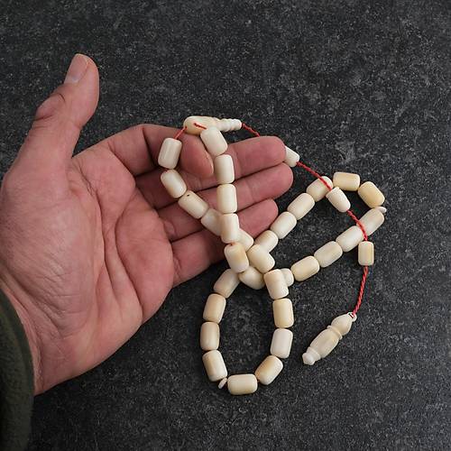 Narl Kapsl Kesim 9x13mm Tesbih