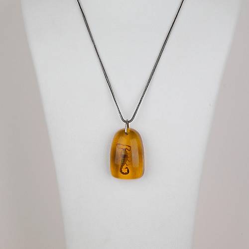 Ger�ek Akrep Fosilli 925 Ayar G�m�� Zincirli Kolye - Tip C