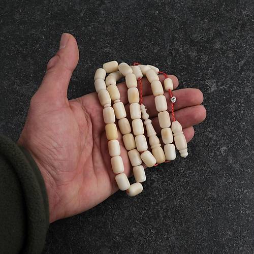 Narl Kapsl Kesim 9x13mm Tesbih