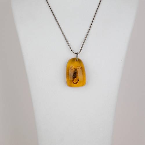 Ger�ek Akrep Fosilli 925 Ayar G�m�� Zincirli Kolye - Tip C