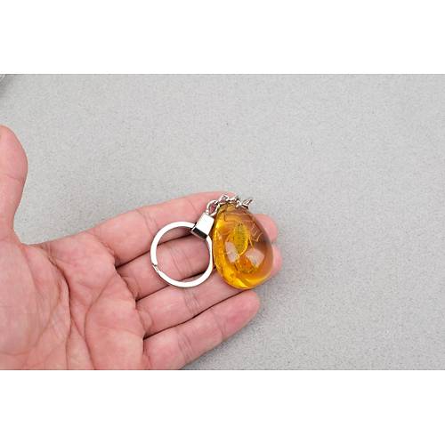 Akrep Fosilli Anahtarl�k -Tip B