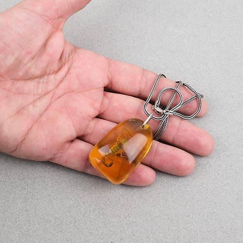 Ger�ek Akrep Fosilli 925 Ayar G�m�� Zincirli Kolye - Tip C