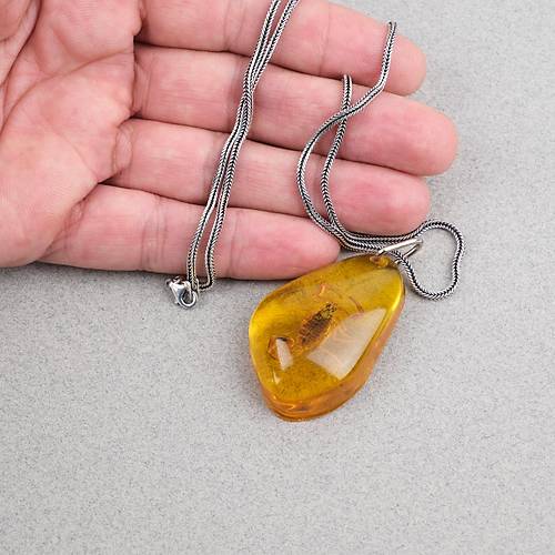 Ger�ek Akrep Fosilli 925 Ayar G�m�� Zincirli Kolye - Tip D