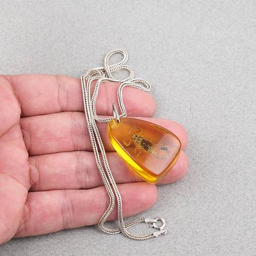 Ger�ek Akrep Fosilli 925 Ayar G�m�� Zincirli Kolye - Tip E