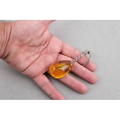 Akrep Fosilli Anahtarl�k -Tip B