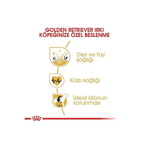 Royal Canin Golden Retriever 12 kg Yeti�kin K�pek Mamas�