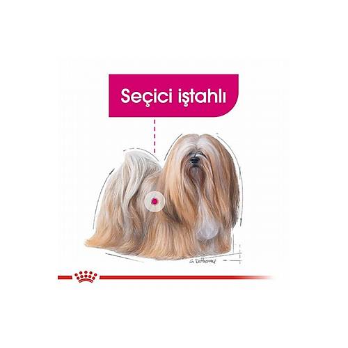Royal Canin Mini Exigent Kk Irk Yetikin Kpek Mamas 3 Kg