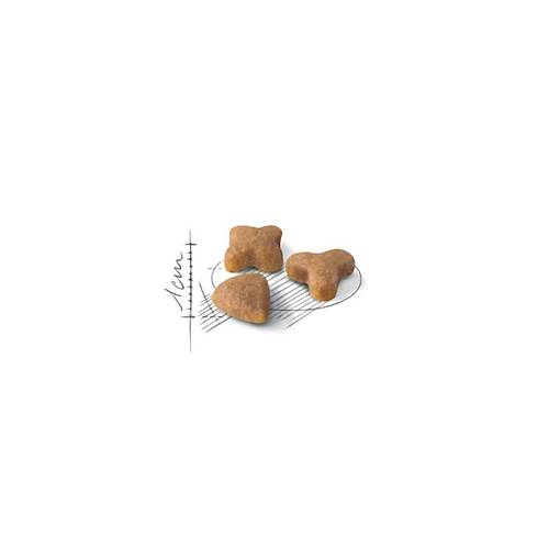 Royal Canin Sensible 33 10 kg Hassas Yeti�kin Kedi Mamas�