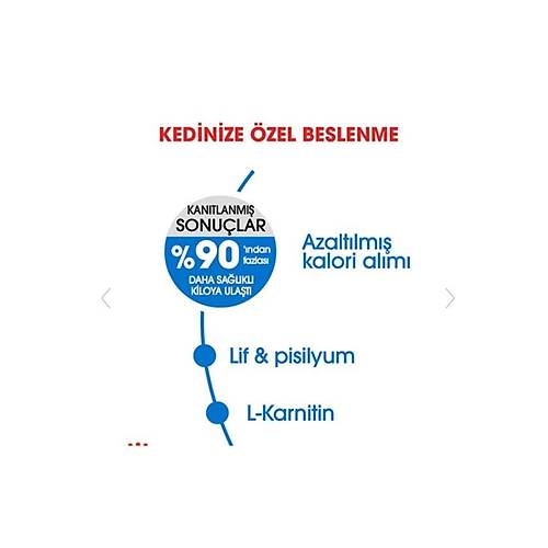 Royal Canin Light 40 8 kg Yetikin Kuru Kedi Mamas