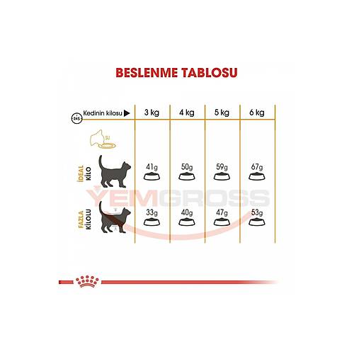 Royal Canin Hair & Skin 4 kg Yetikin Kedi Mamas