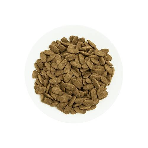 Pro Choice Proderma Lamb Kuzu Etli K�pek Mamas� 18 Kg