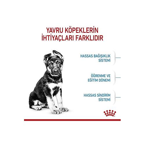 Maxi Puppy B�y�k Irk Yavru K�pek Mamas� 15 Kg