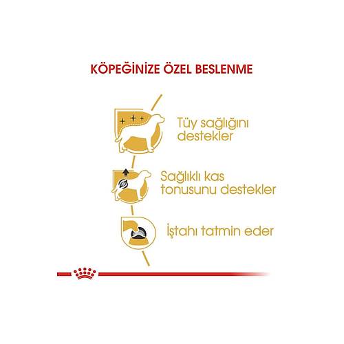 Royal Canin Poodle 85 gr 12'li Yeti�kin K�pek Ya� Mamas�