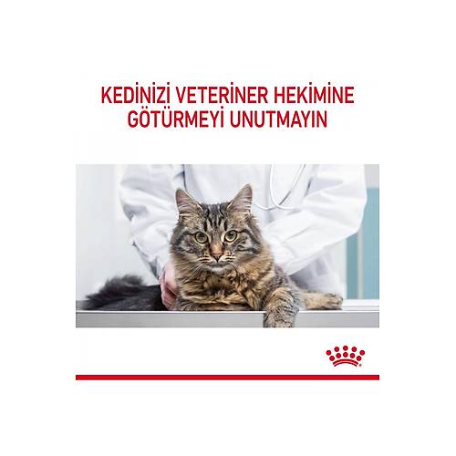Royal Canin Royal can�n hair skin kedi ya� mama 85gr 12 adet kedi konserve pouch