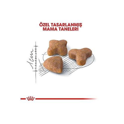 Royal Canin Sensible 33 2 kg Hassas Yetikin Kuru Kedi Mamas