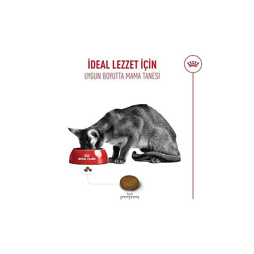 Royal Canin Fussy Exigent Se�ici Kediler I�in Kuru Kedi Mamas� 2kg
