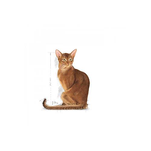 Royal Canin Fussy Exigent Se�ici Kediler I�in Kuru Kedi Mamas� 2kg