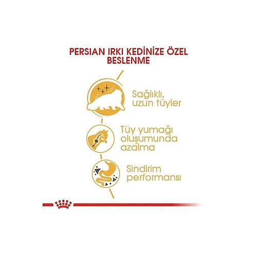 Royal Canin Adult Persian ran Kedilerine zel 10 kg Yetikin Kuru Kedi Mamas