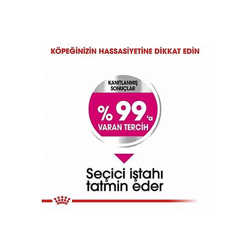 Royal Canin Ccn Mini Exigent Kk Irk 3 kg Yetikin Kuru Kpek Mamas
